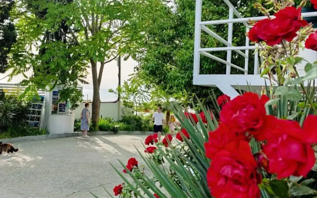 Villa Soho Sochi Russia Guest house