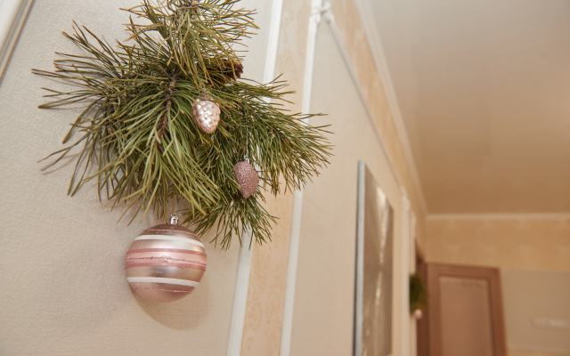 Apartamenty Horomy S Dizaynerskim Remontom I Potryasayuschim Vidom Apartments