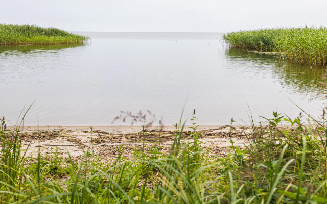 База отдыха ВитТех