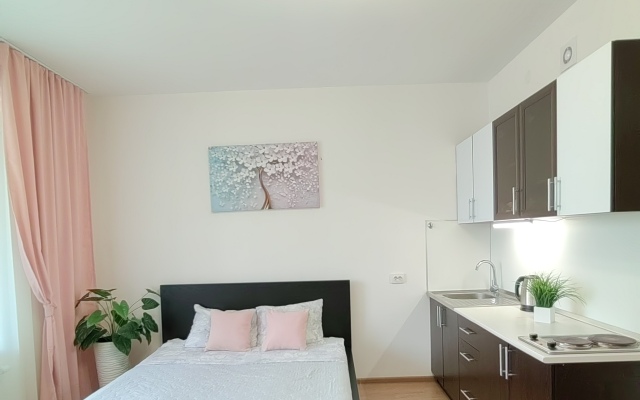Kvartira Studiya U Metro Moskovskaya Lodging house