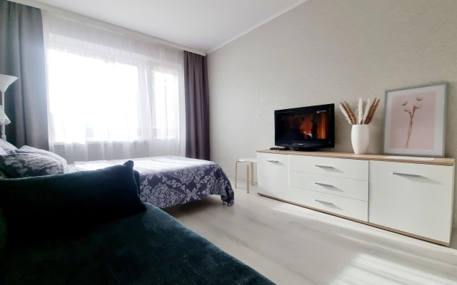 Standart s Dvumya Komnatami Apartments