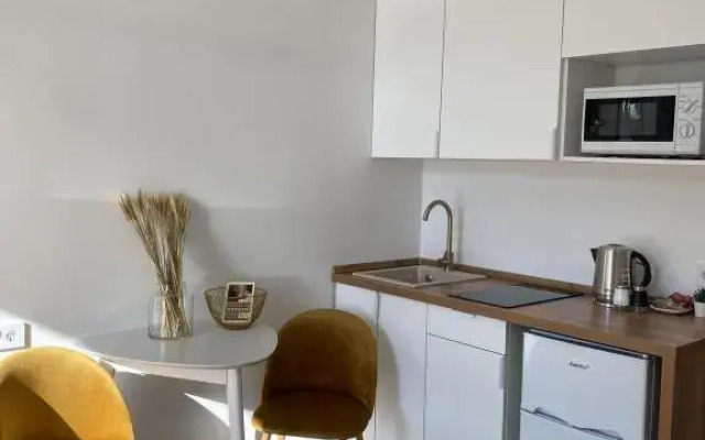 Апартаменты Студии Вива Апартс 1