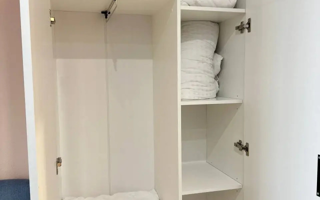 Studiya Okolo Ostrova Mechty I Parka Kolomenskoye Flat