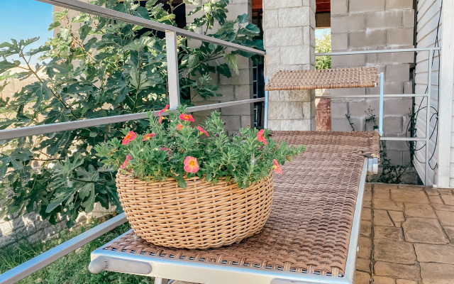 Eco Delfin Guest House