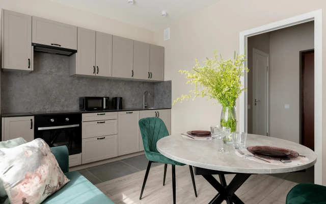 Апартаменты Двухкомнатные стильные у КВЦ Экспофорум ВГостиВПитер