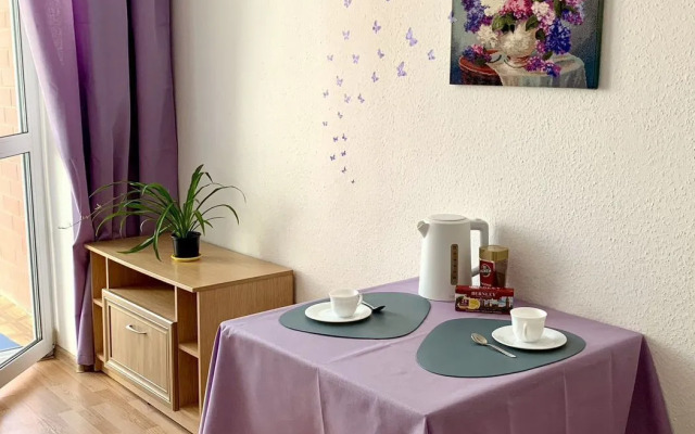 Квартира на Каменской Улице 103