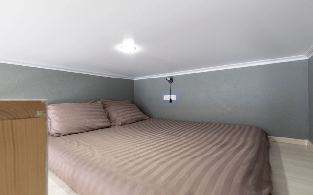 Апартаменты Светлая Студия Neva