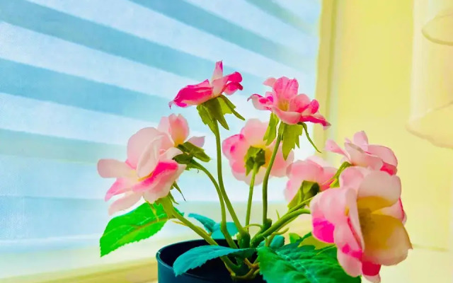 Апартаменты Строителей 5/1(43)