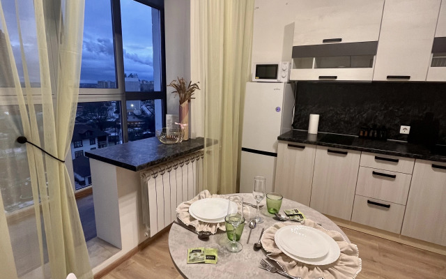 Апартаменты Панорамная возле Ленты