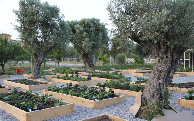 Отель Emirsoy Harası