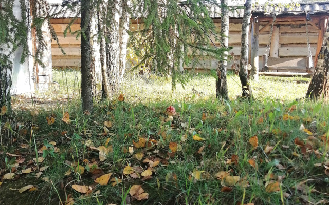 Okulova Zaimka Guest House