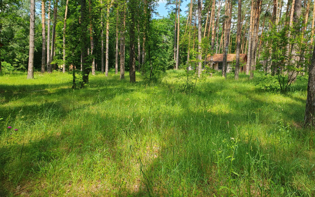Recreation camp Zeleny Lug