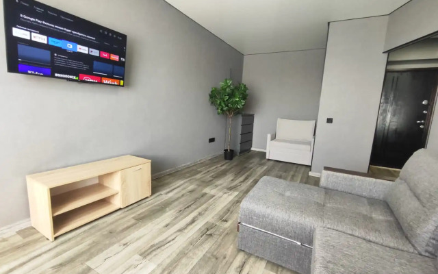 Квартира на Улице Толстого 25