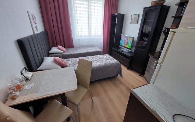 Квартира студия Живи в Песочном на Садовой 83