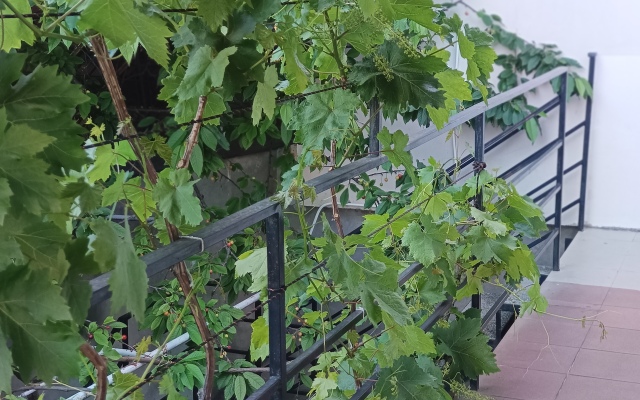 Апартаменты с Кухней