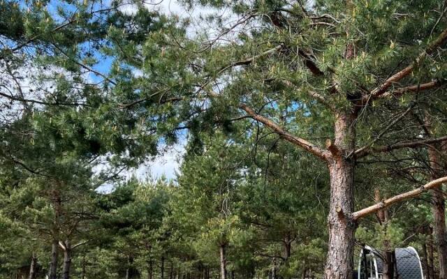 Глэмпинг Грибная Находка by Reston