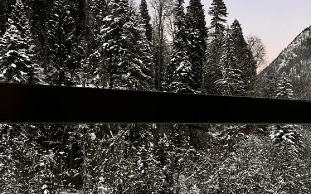 Chalet Forest glamp