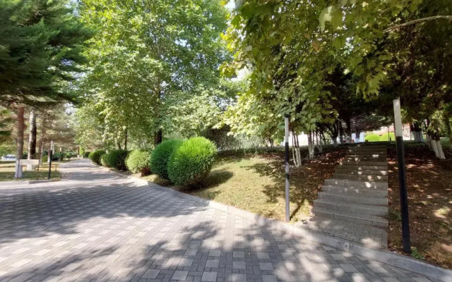 Отель Arena Sheki