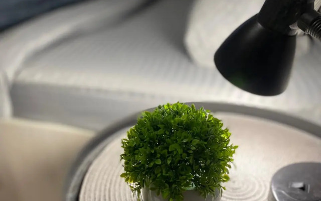 Uyutnaya Studiya Flat