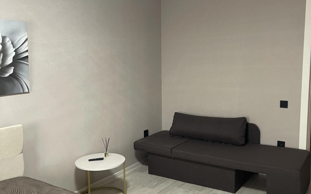 Квартира Красноармейский 106А