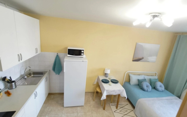 Апартаменты Студия Комфорт с Балконом Lesnaya