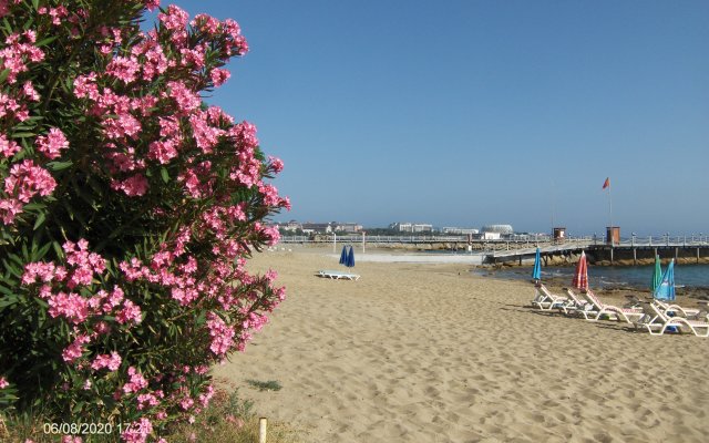 Odessa Otel Avsallar Hotel