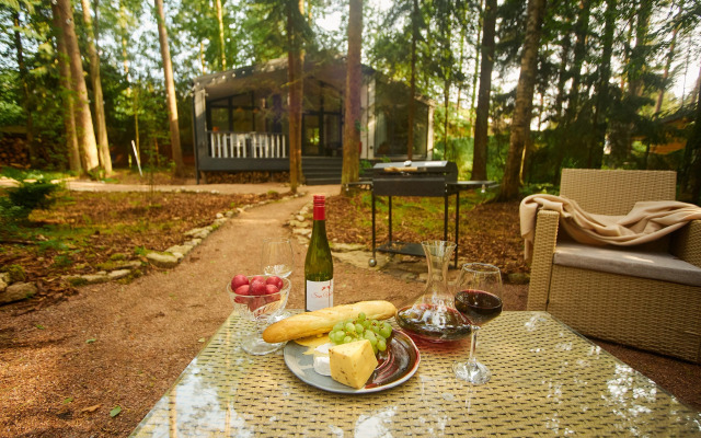 Repinskaya Dacha na Opushke Krasivogo Lesa Private House