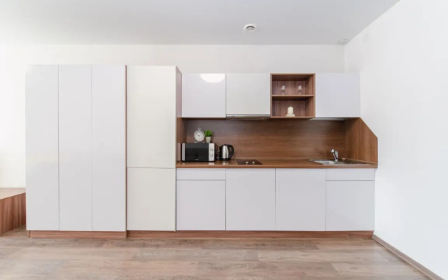4 Apartamenty Radius Na Malysheva 42A (20)