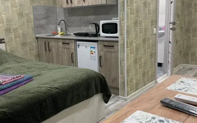 Квартира на Бульваре Ибрагимова 37 (3)