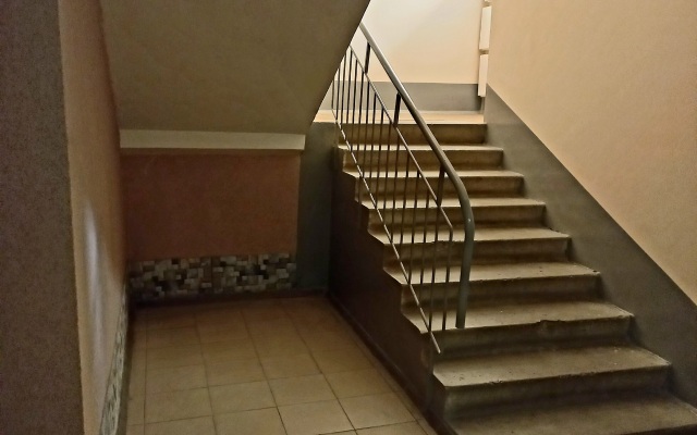 Prostornaya kvartira s erkerom v cenrte goroda-geroya Flat