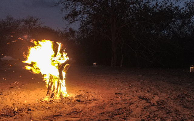 Topan Yala – Luxury Tented Safari