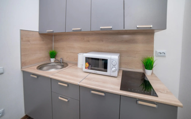 Апартаменты Ландау