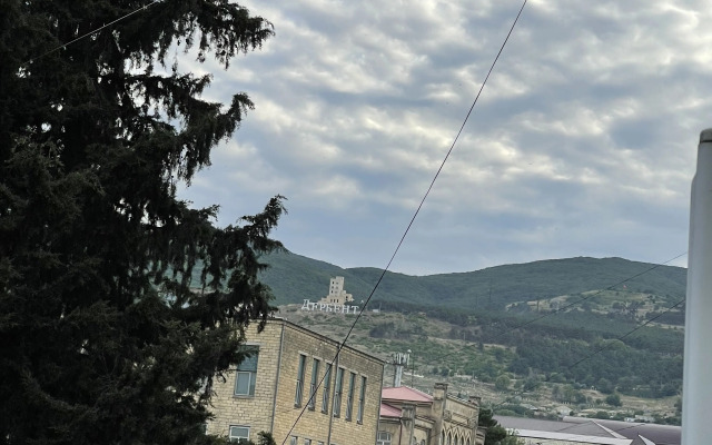 V Tsentre Goroda Flat