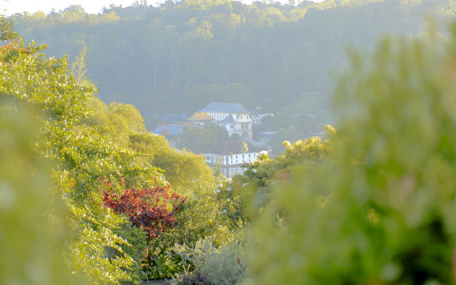 Бутик-отель Castle Hill Bungalow
