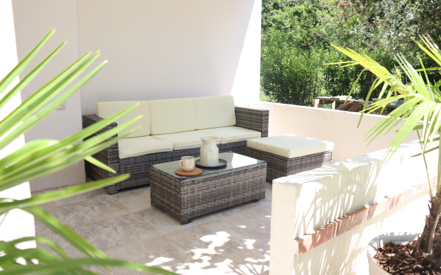 Citrus Tree Guest house