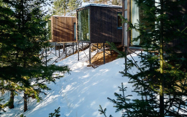 База отдыха Телецкое Золотое