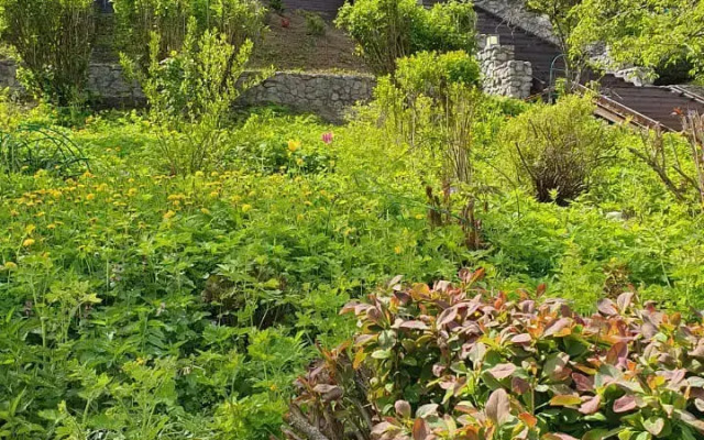 Гостевой дом Над Рекой