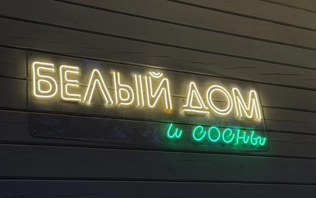 Частный дом Белый и сосны