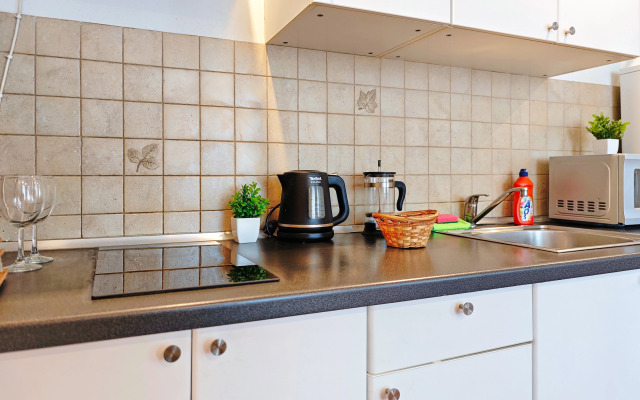 Apartamentyi Nevskij 18 Nikol I Mishel 1