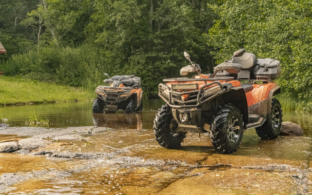 Podlesye Guest House