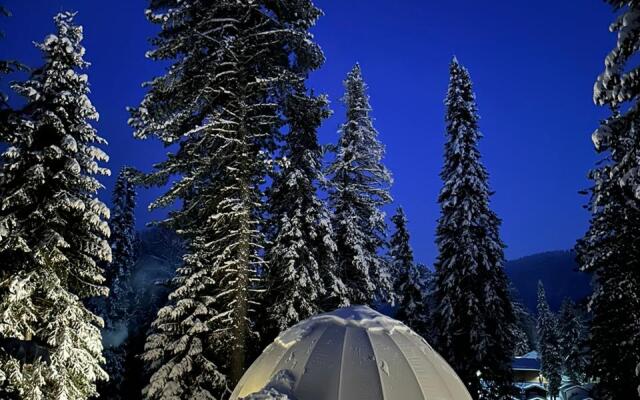 Глэмпинг Алтай Forest Glamp