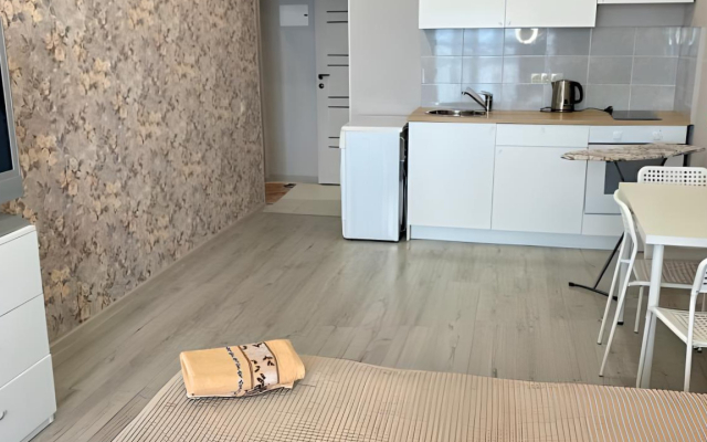 Апартаменты Достоевского 57