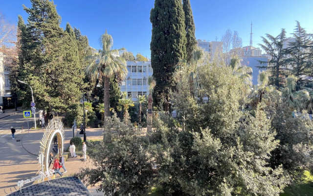 Апартаменты inSochi в центре с видом на Навагинскую N303