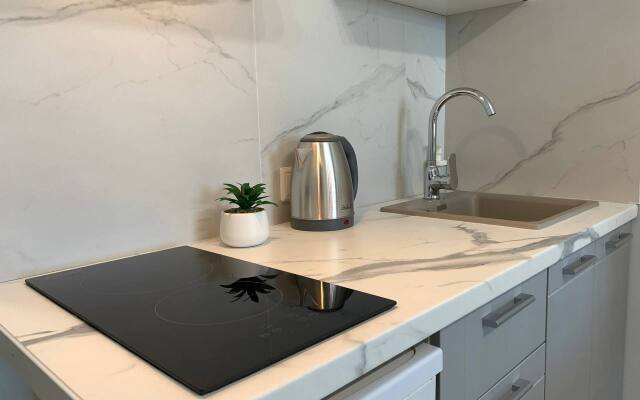 Апартаменты Уютная студия в центре на четверых