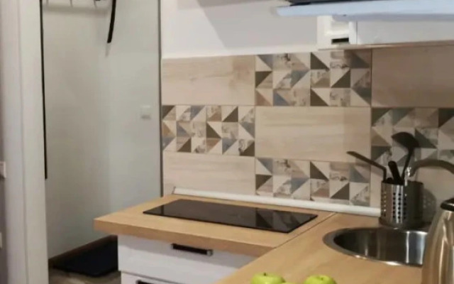 Pervy (1st) Sosenskiy Stan Apartments 2