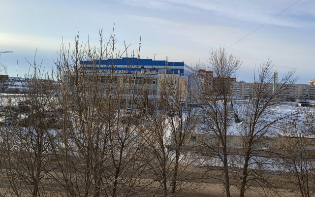 Апартаменты В гостях у Лилии