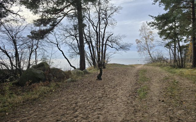 Апартаменты Первая Линия