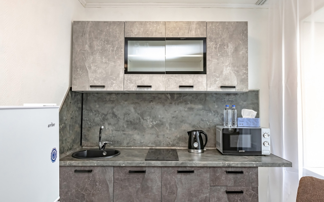 Dvukhkomnatnyye na Pushkinskoy 55 Apartaments