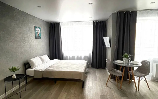 Квартира Уютная Студия в Затоне