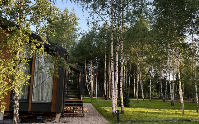 Частный дом в березах